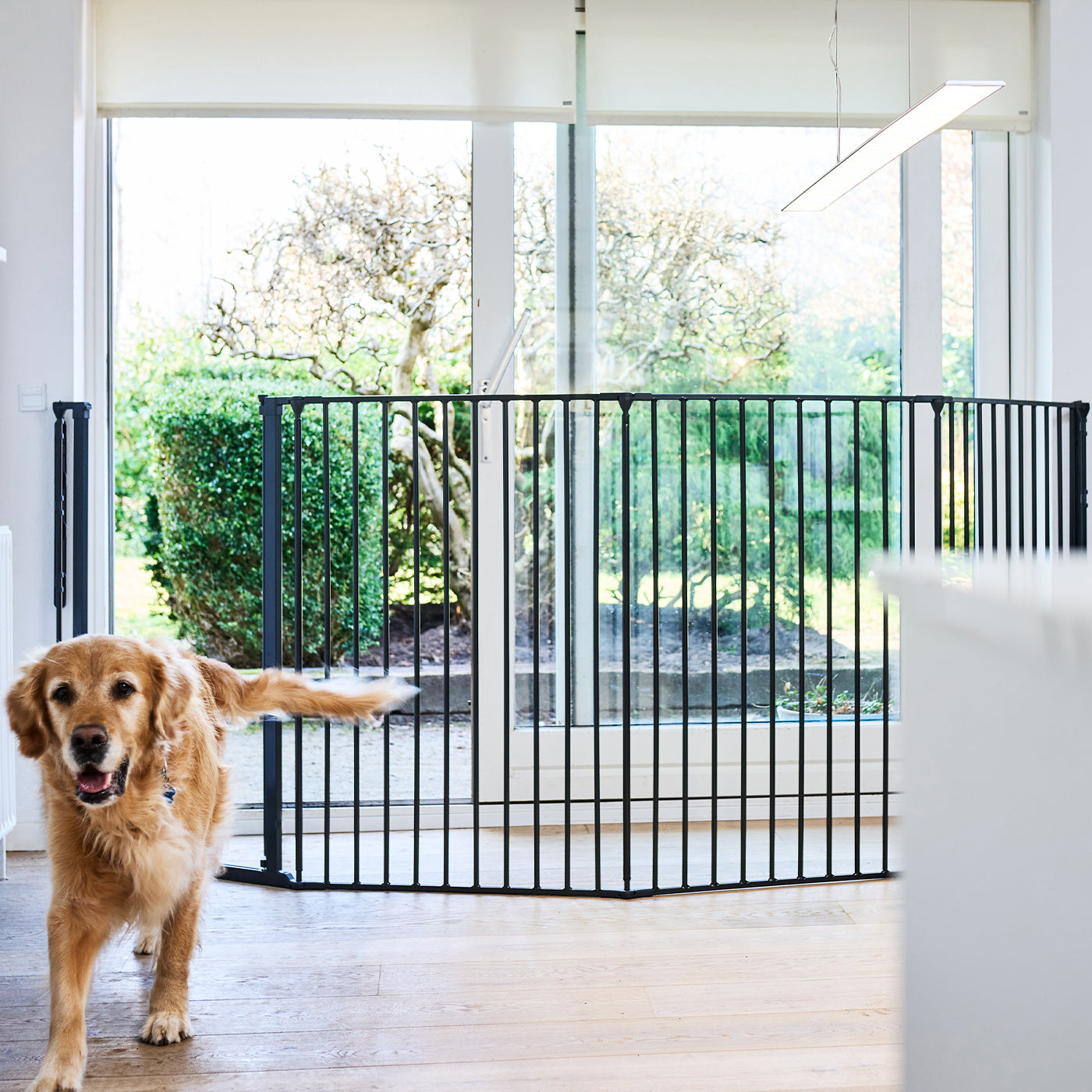 DogSpace Rocky Extra Tall Room Divider Pet Gate Black Extension