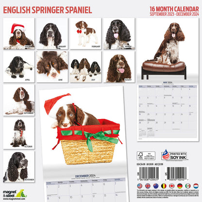 English Springer Spaniel Modern Calendar 2024