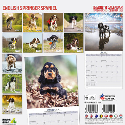 English Springer Spaniel Traditional Calendar 2024