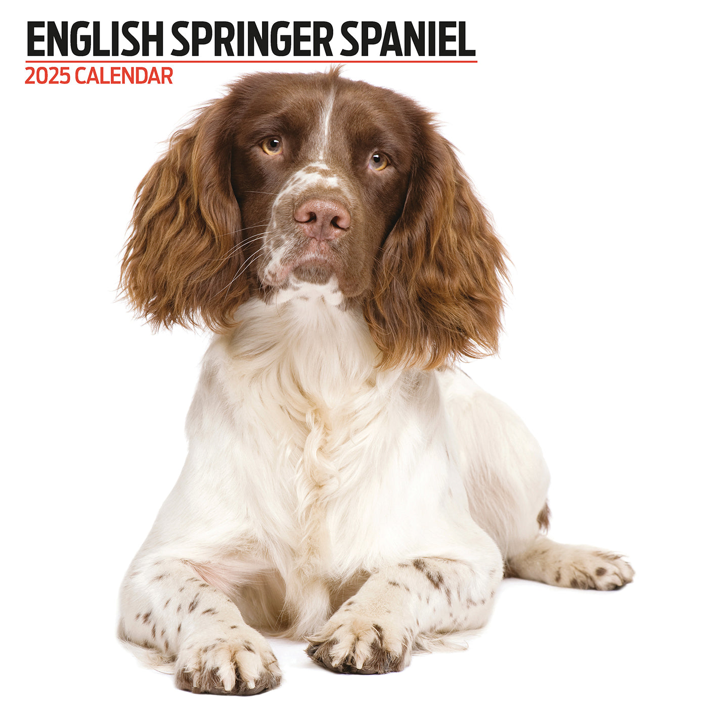 Spingr Yellow Sale Springer 2025: Springer Nature Yellow Sale – NSTI