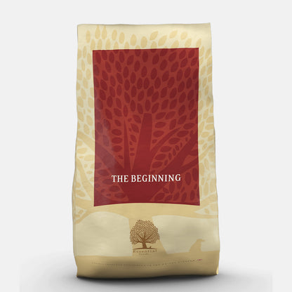 Essential Foods The Beginning Dry Puppy Food