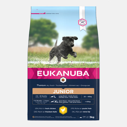 Eukanuba Large Breed Junior Dog Food