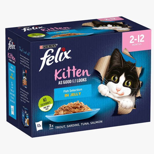 Felix As Good As it Looks Kitten Fish in Jelly Wet Cat Food (12 x 85g)