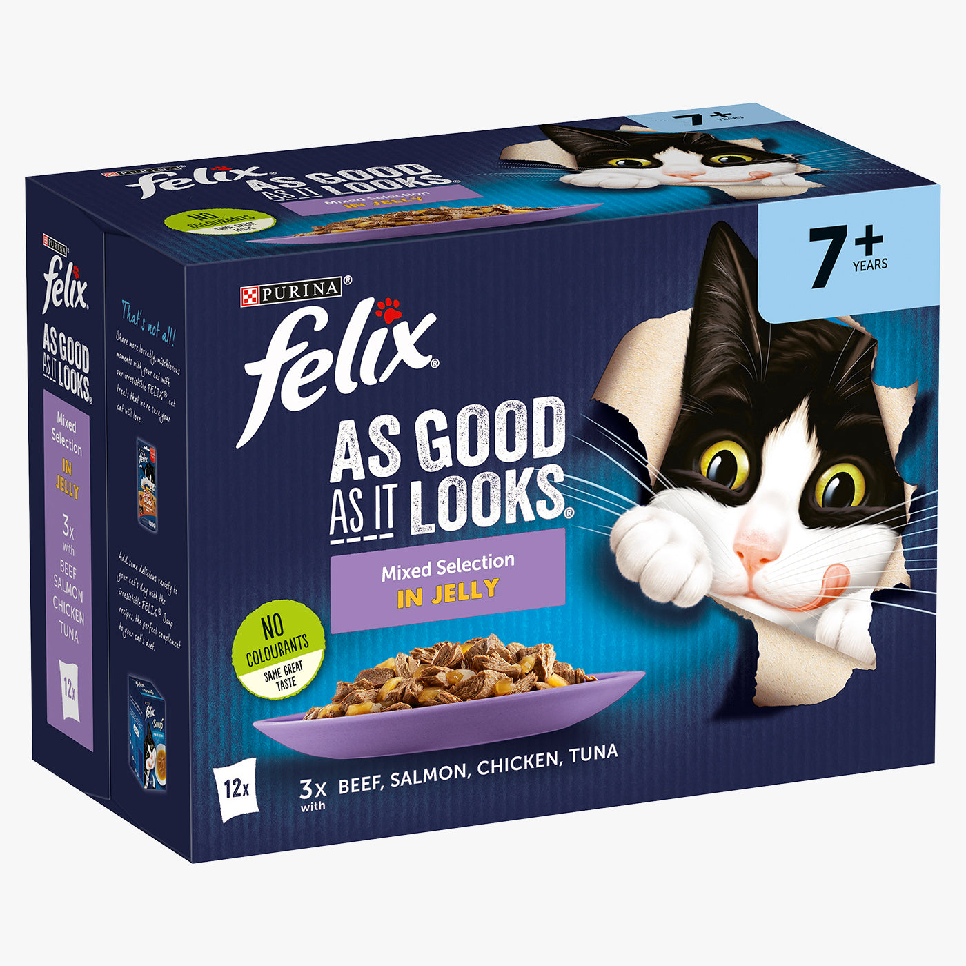 Cat Feeding