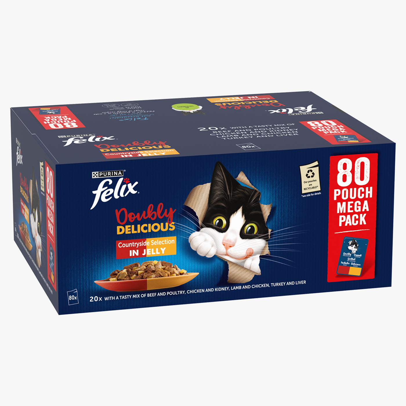 Cat Feeding