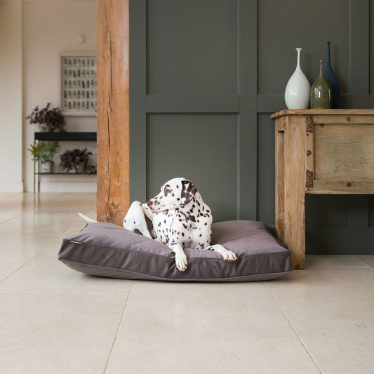 Dog Cushion in Silt Velvet by Lords & Labradors