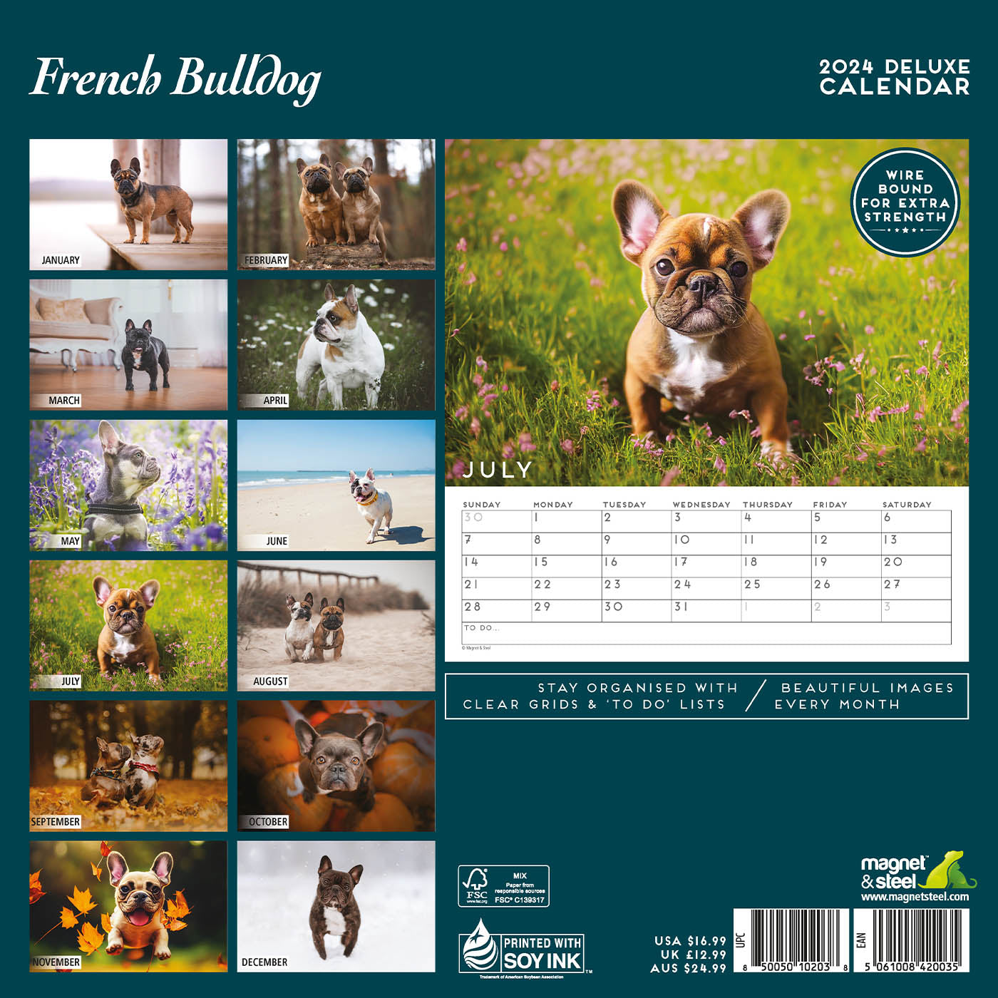 French Bulldog Deluxe Calendar 2024