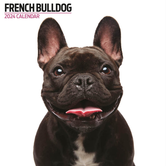 French Bulldog Modern Calendar 2024