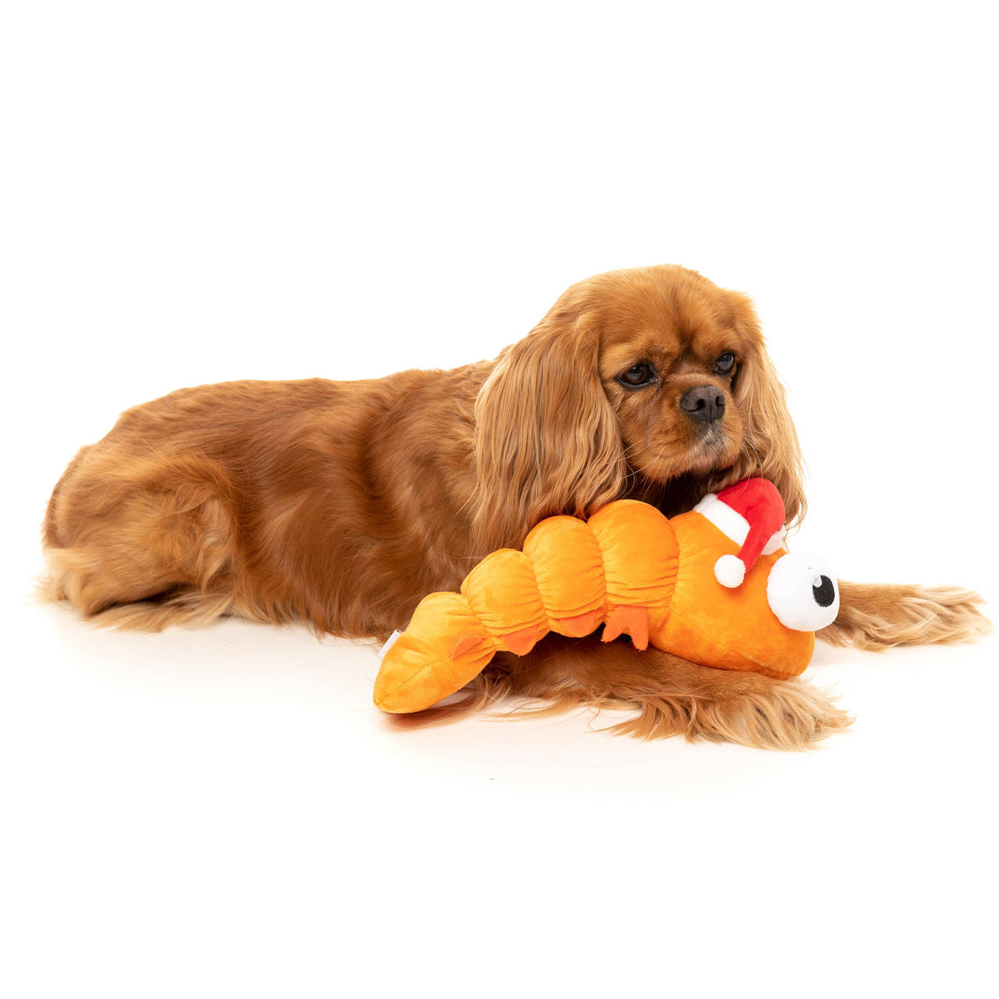 FuzzYard Prawn Mendes Christmas Toy