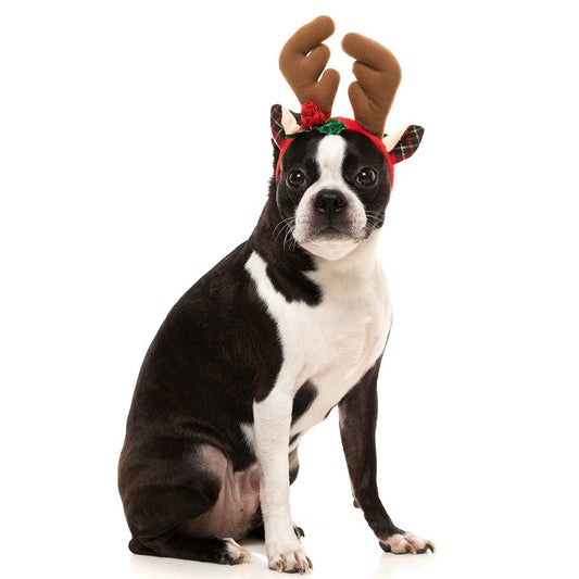 FuzzYard Reindeer Antlers