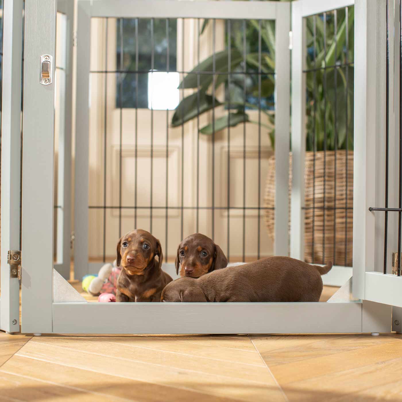 Ensure The Ultimate Puppy Safety with Our Heavy Duty Wooden Puppy Play Pen in Grey or white, Crafted to Take Your Pet Right Through Maturity! Powder Coated to Be Extra Hardwearing! 6 panels that are 80.5cm high! Available To Now at Lords & Labradors