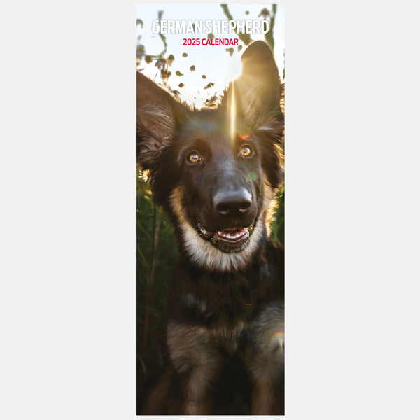 Susan Branch Calendar 2026 The Lord Is My Shepherd 2025 Wall Calendar ...