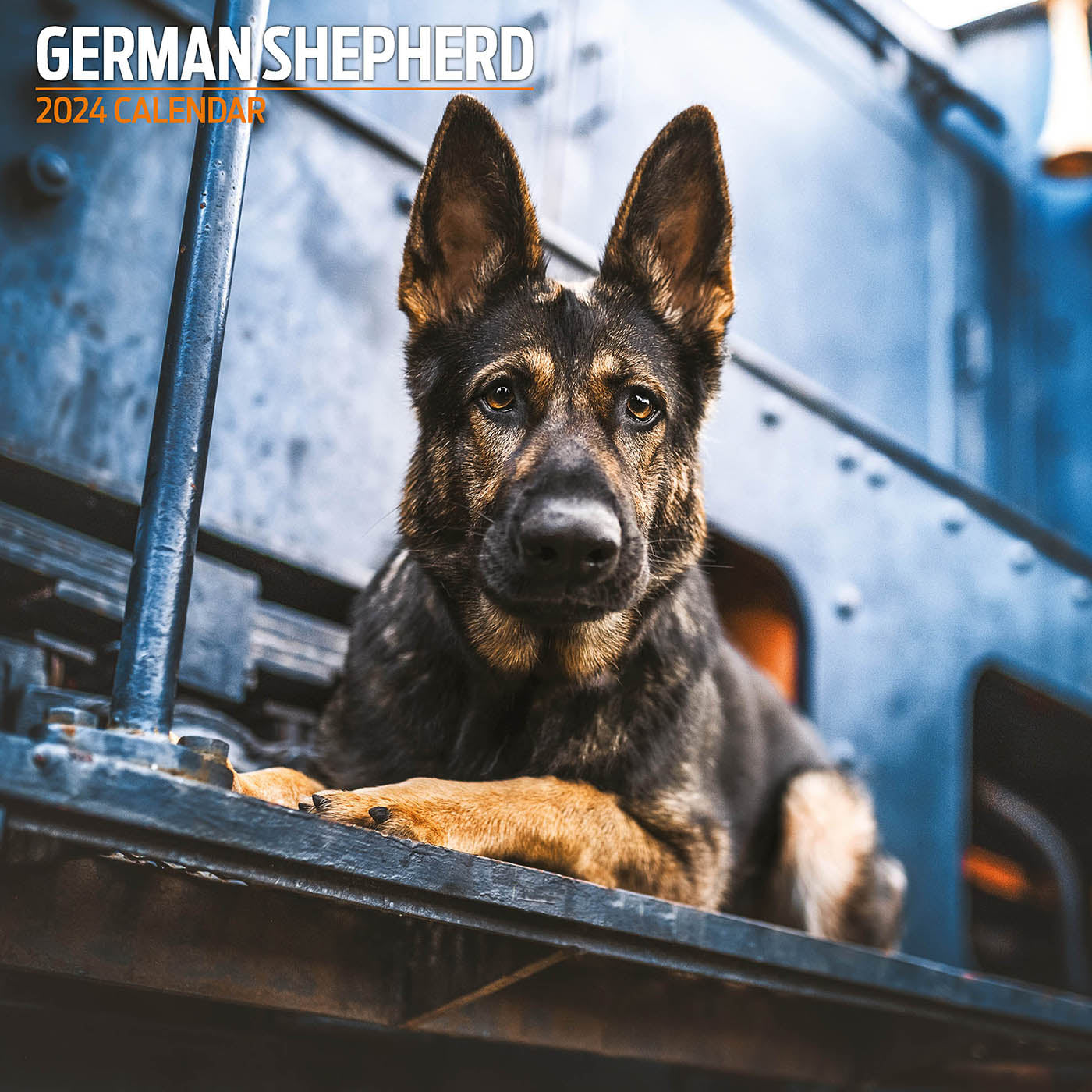 German Shepherd Traditional Calendar 2024