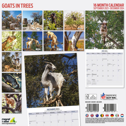 Goats in Trees Calendar 2024
