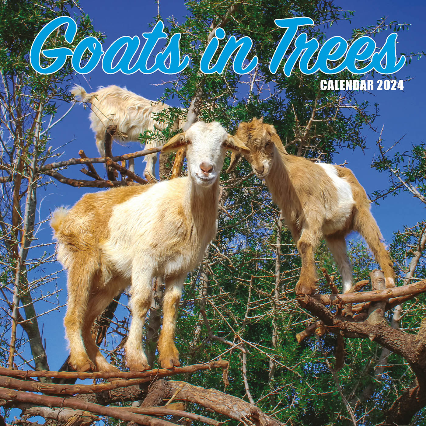 Goats in Trees Calendar 2024