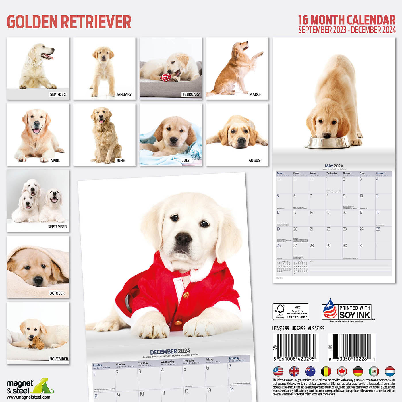 Golden Retriever Modern Calendar 2024