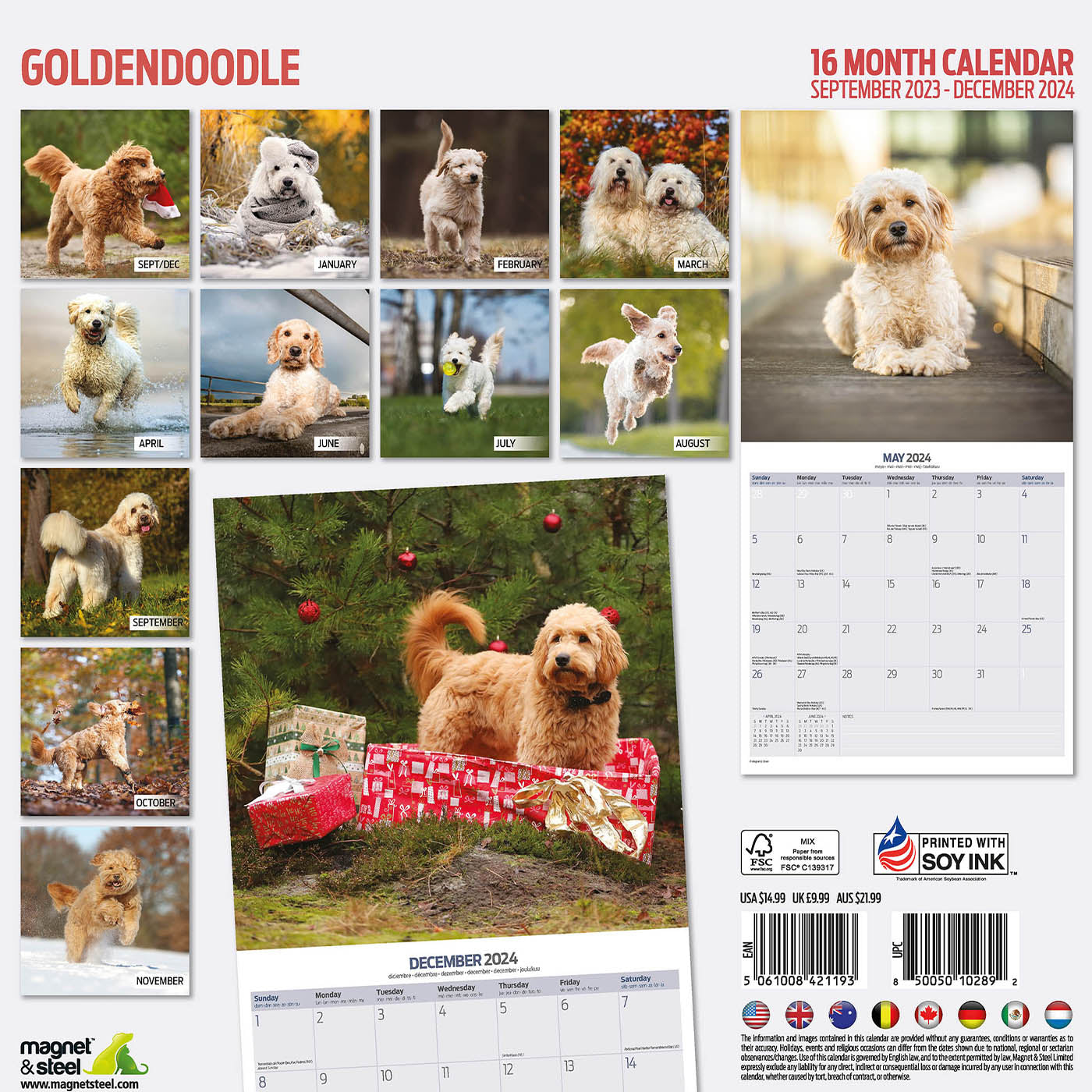 Goldendoodle Traditional Calendar 2024