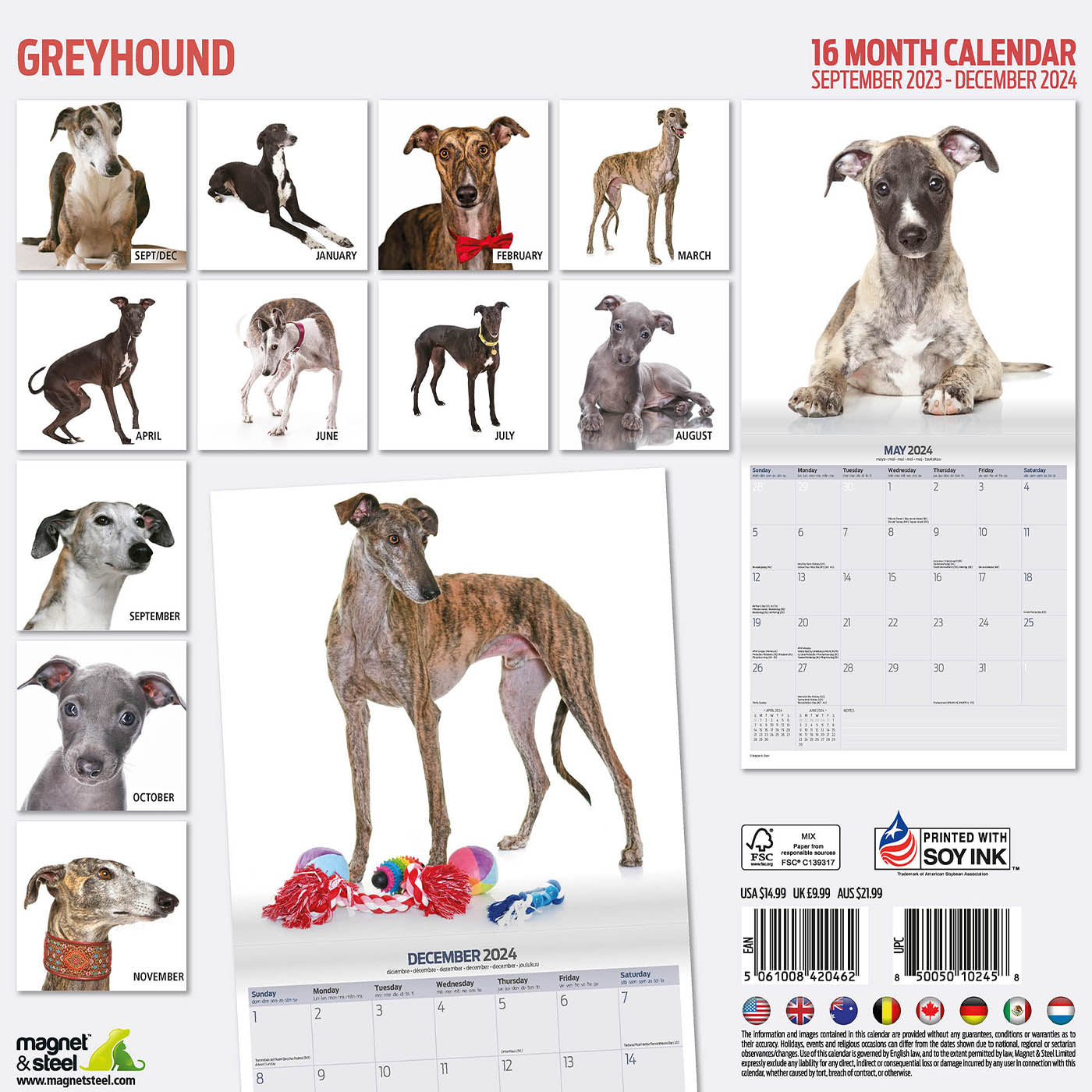 Greyhound Modern Calendar 2024