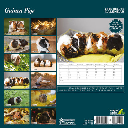 Guinea Pig Deluxe Calendar 2024