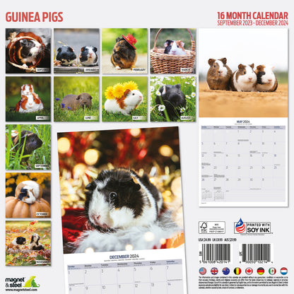 Guinea Pig Traditional Calendar 2024