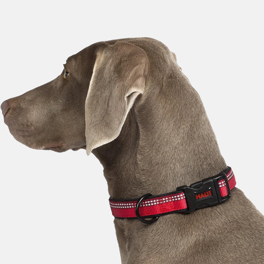 Halti Comfort Dog Collar - Red