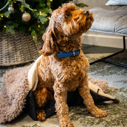 Hedgehog Snuffle & Burrow Blanket