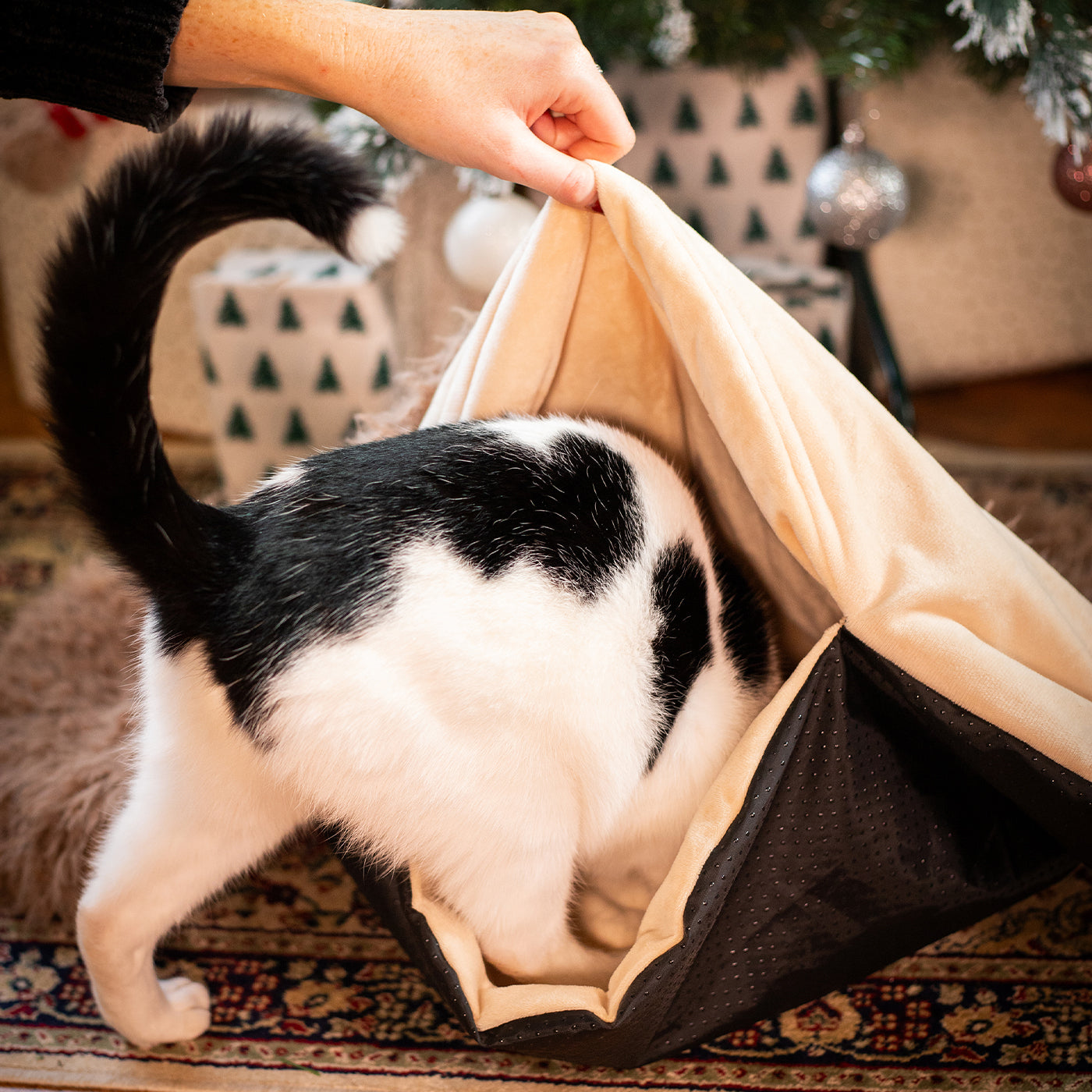 Hedgehog Snuffle & Burrow Blanket