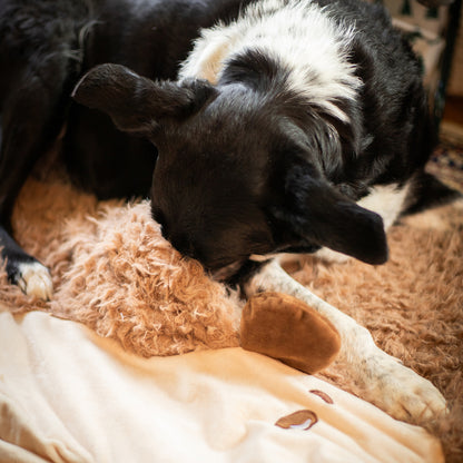 Hedgehog Snuffle & Burrow Blanket