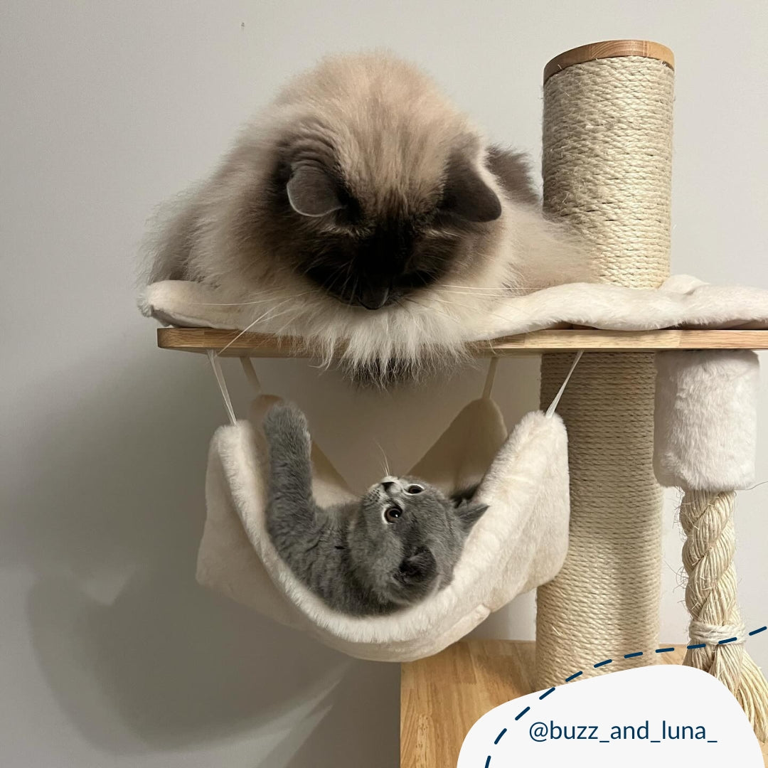 Discover the Ultimate Cat Tree! Helsinki The Levels Cat Play Centre. Present your cat with the perfect cat play centre! Crafted using durable and long-lasting wood, this modern cat play centre features hanging toys to hangout spots, multiple levels for cats to explore, soft, plush hammock to snuggle into and sisal wrapped post for scratching! Available Now at Lords & Labradors