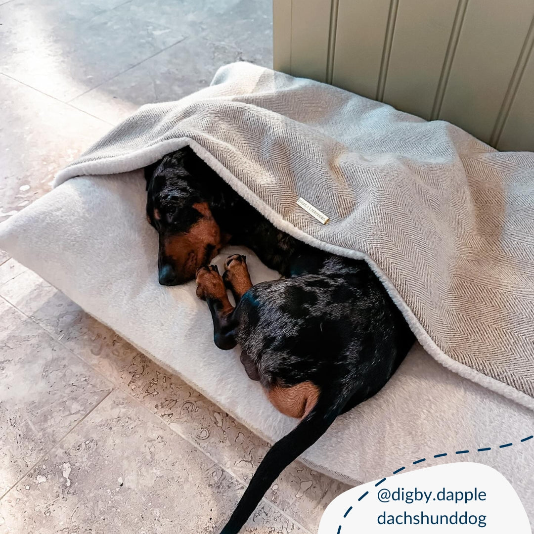 Lord Burrows Sleepy Burrows Bed in Natural Herringbone | Lords & Labradors Luxury ...