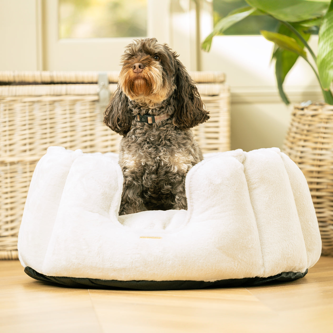 Discover Our Luxurious High Wall Bed For Dogs, Featuring inner pillow with plush teddy fleece on one side To Craft The Perfect Cat Bed In Stunning Anti-Anxiety Cream Faux Fur! Available To Personalise Now at Lords & Labradors    