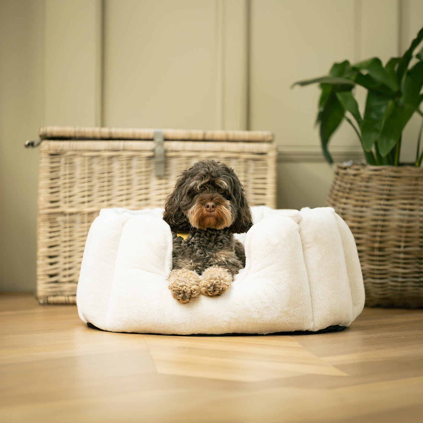 Discover Our Luxurious High Wall Bed For Dogs, Featuring inner pillow with plush teddy fleece on one side To Craft The Perfect Cat Bed In Stunning Anti-Anxiety Cream Faux Fur! Available To Personalise Now at Lords & Labradors    
