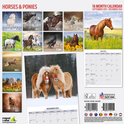 Horses & Ponies Calendar 2024