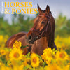 Horses & Ponies Calendar 2024