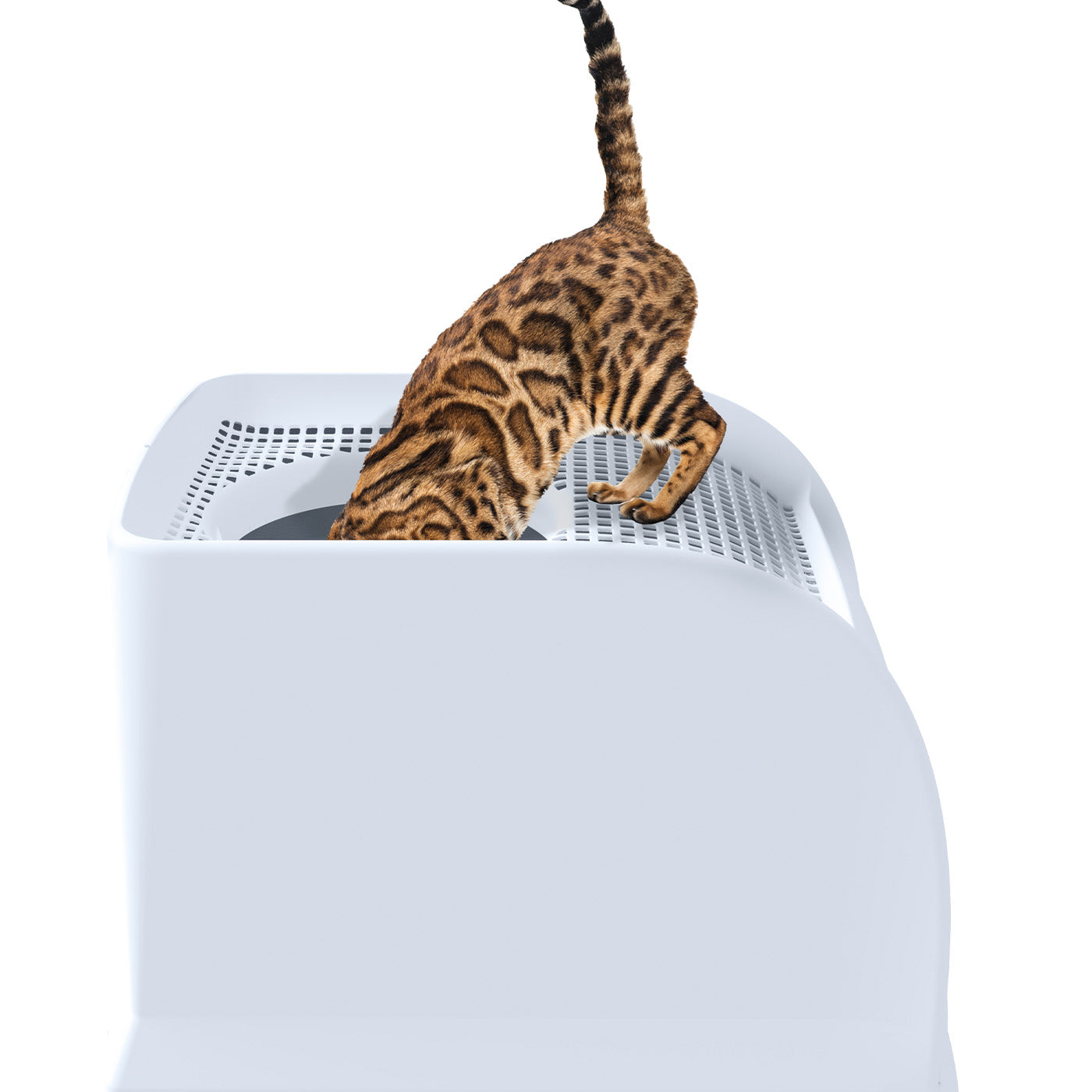 IMAC Frida Top Entry Litter Box Blue