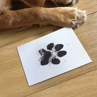 Oh So Precious Paw Print Non-Toxic Ink Pad For Larger Paws