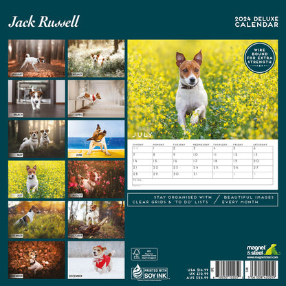 Jack Russell Deluxe Calendar 2024