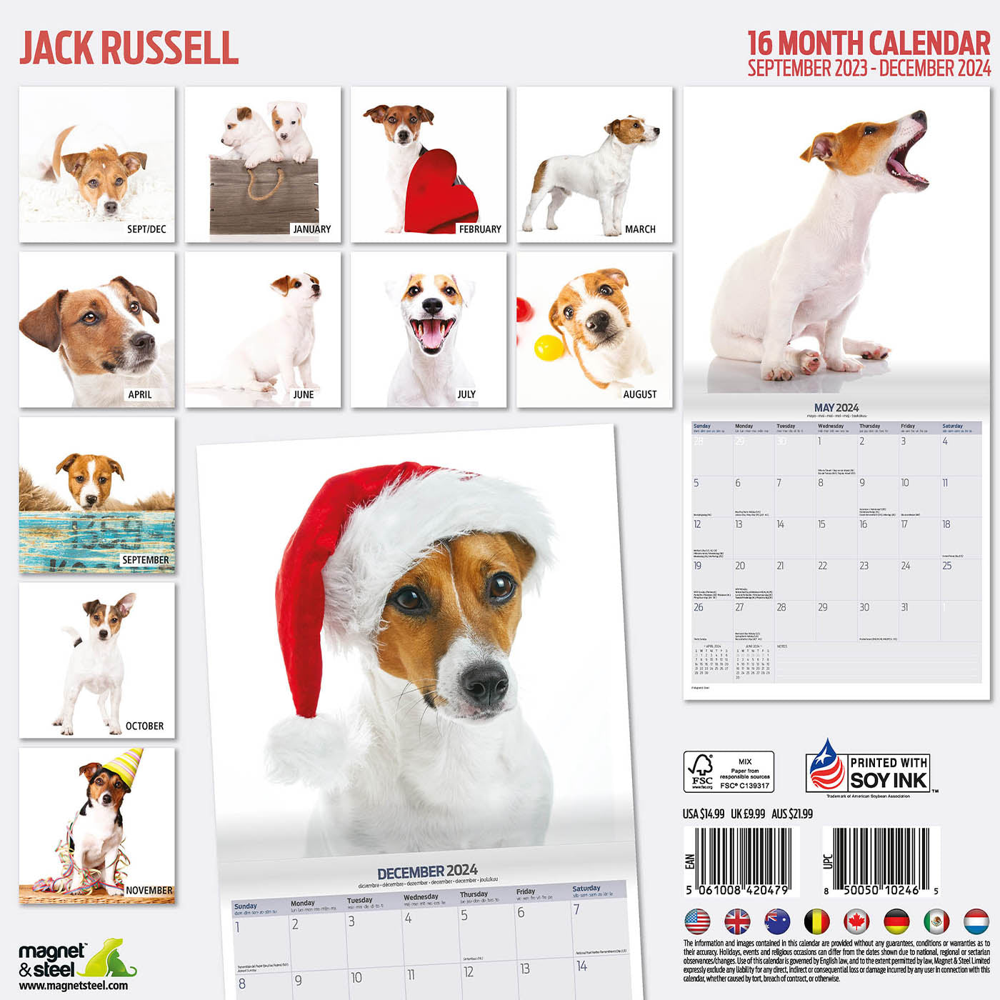 Jack Russell Modern Calendar 2024