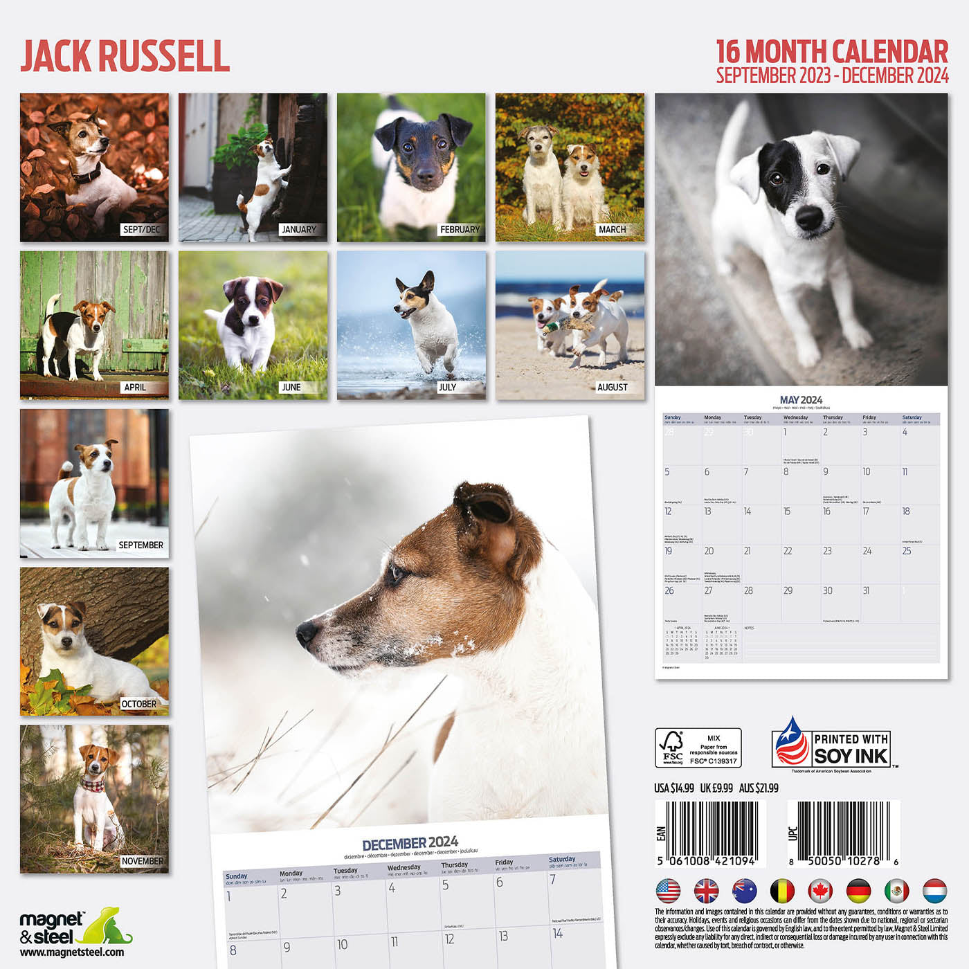 Jack Russell Traditional Calendar 2024