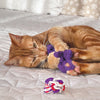 KONG Cat Active Rope Red & Purple