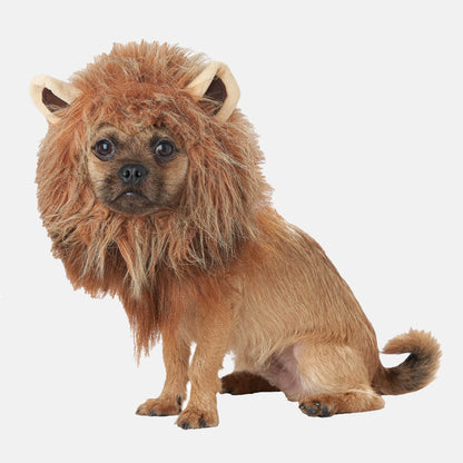 King Of The Jungle Dog Costume