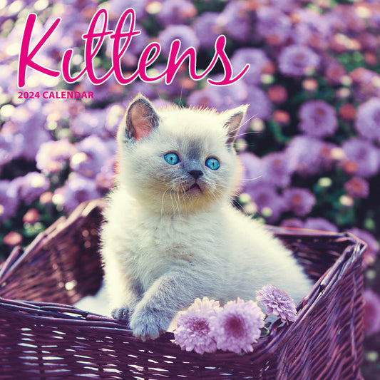 Kittens Traditional Calendar 2024