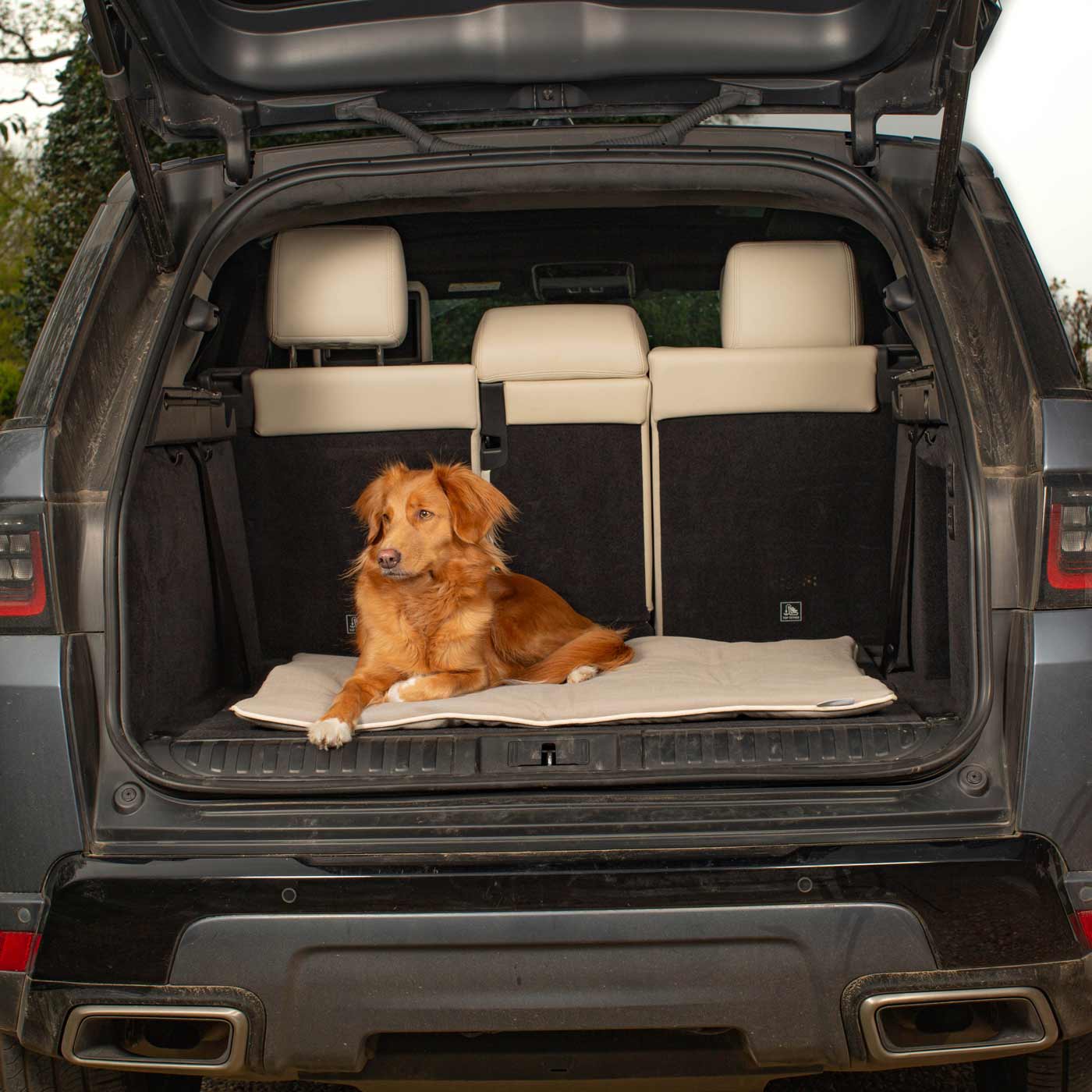 Embark on the perfect pet travel with our luxury Travel Mat in Savanna Stone! Featuring a Carry handle for on the move once Rolled up for easy storage, can be used as a seat cover, boot mat or travel bed! Available now at Lords & Labradors