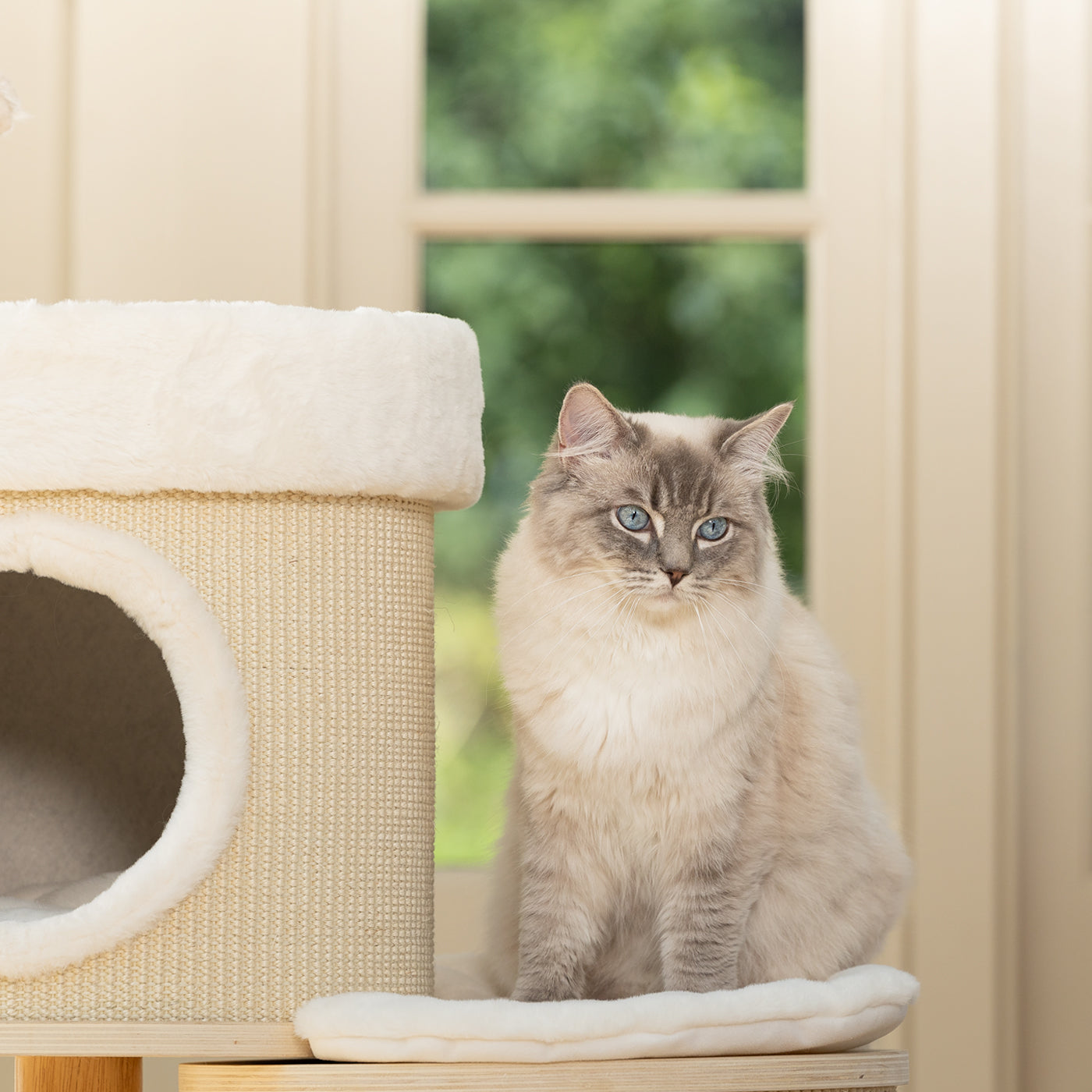 Helsinki Hide Sleep Cat Scratch Post Cat Scratch Post Lords