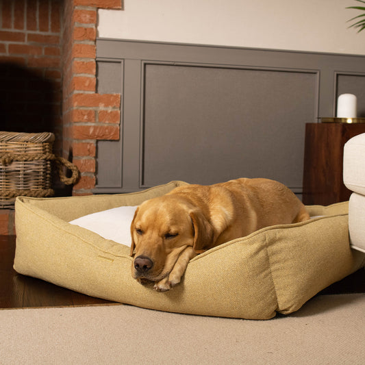 Box Bed With Removable Cover in Honeysuckle Orkney Tweed by Lords & Labradors
