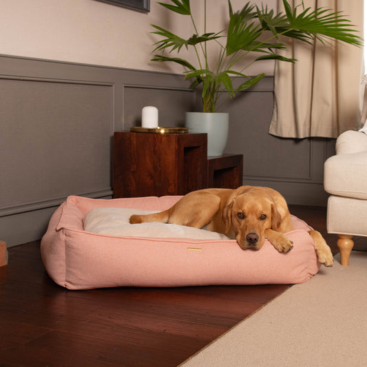 Box Bed With Removable Cover in Peony Orkney Tweed by Lords & Labradors