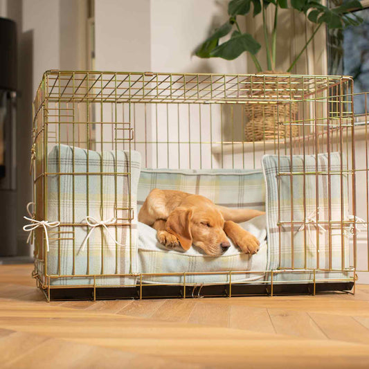 Discover Our Heavy-Duty Dog Crate With Duck Egg Tweed Cushion & Bumper! The Perfect Crate Accessories. Available To Personalise Here at Lords & Labradors 