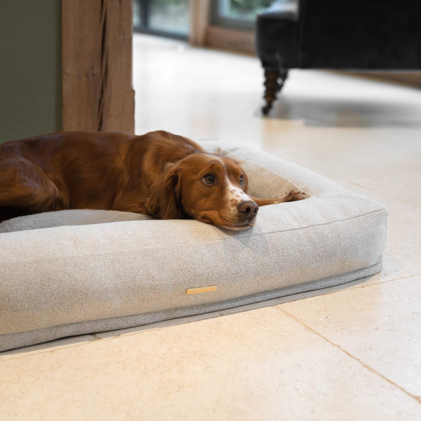 Discover Our Luxurious Comfort Cube Dog Bed in Ivory, featuring Removable covers for easy machine washing and a non slip wipeable base. This super soft pet bed offers the ultimate comfort to your furry friend! Bringing Your Canine Companion The Perfect Bed For Dogs To Curl Up To! Available Now at Lords & Labradors