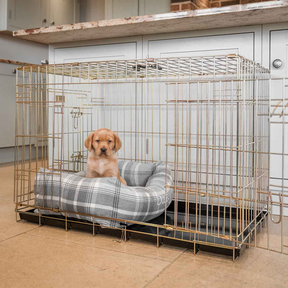 Illustration of Crate For Puppy With Soft Floor