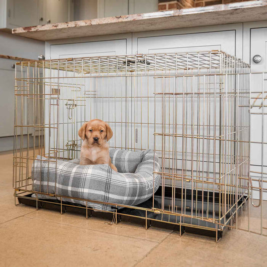 Gold Dog Crate with Dove Grey Tweed Cosy & Calming Puppy Crate Bed Set By Lords & Labradors